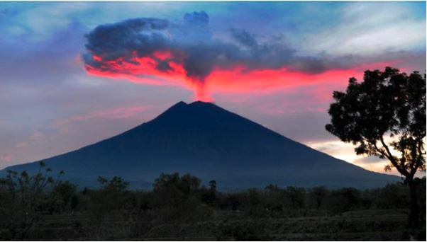 Genset Untuk Bencana